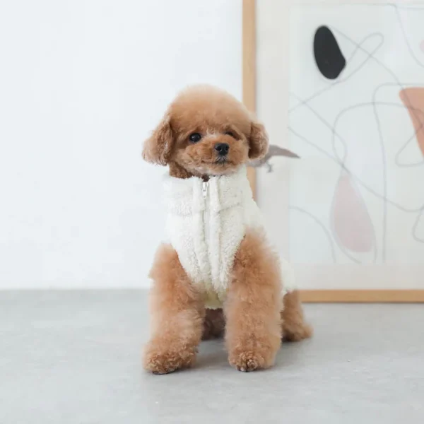 Comfortable and soft plush pet vest
