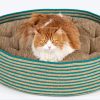 Basket Bed With Cushion For Small Dogs & Cats
