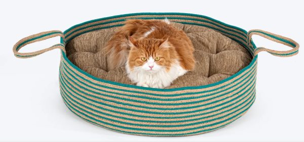 Basket Bed With Cushion For Small Dogs & Cats