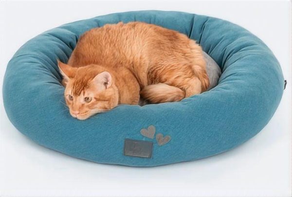 Dreamy Donut Bed For Cat & Puppy 1 Dreamy Donut Bed For Cat & Puppy