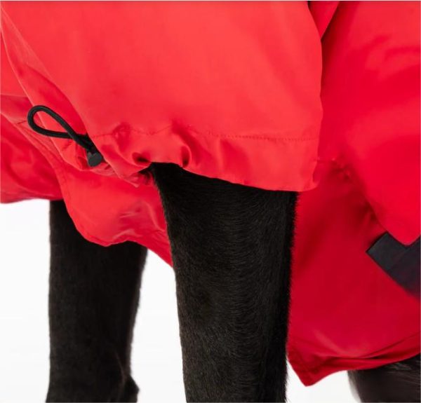 Raincoat With Harness Opening For Dog 2 Raincoat With Harness Opening For Dog