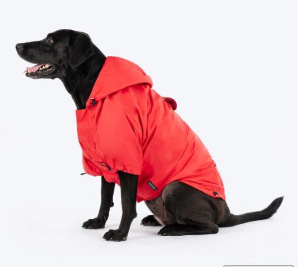 Raincoat With Harness Opening For Dog 4 Raincoat With Harness Opening For Dog