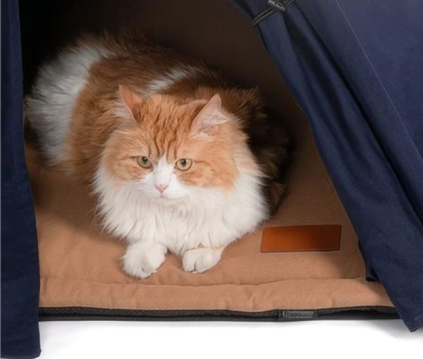 Teepee Tent Bed For Dog & Cat