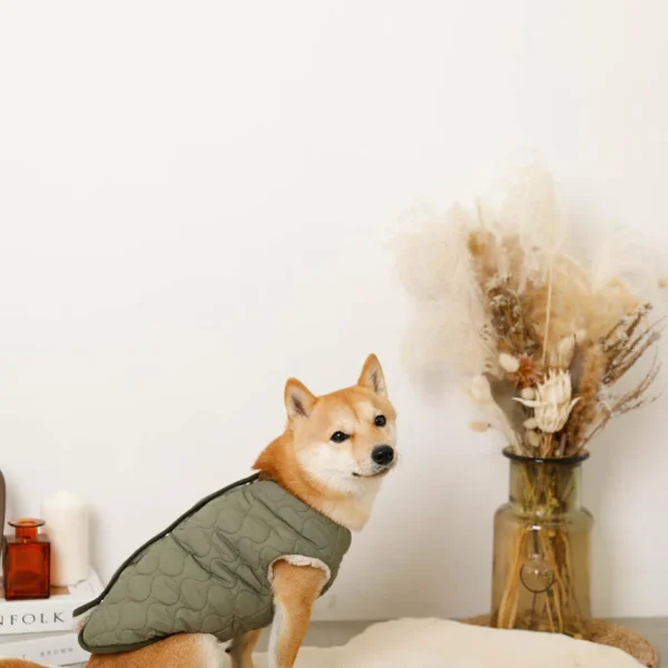 Double-sided quilted down jacket