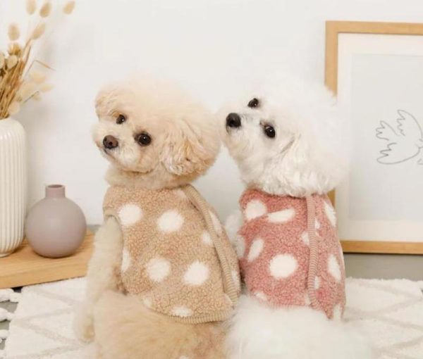 Dotted print Reversible pet clothes