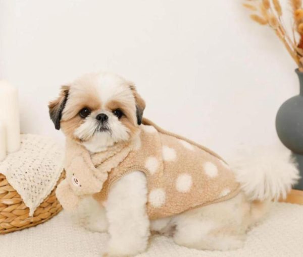 Dotted print Reversible pet clothes