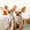 Knitted pet apparel with breathable fabric