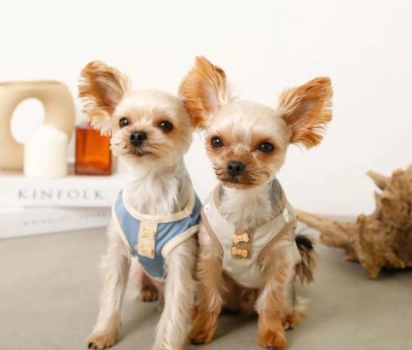 Knitted pet apparel with breathable fabric