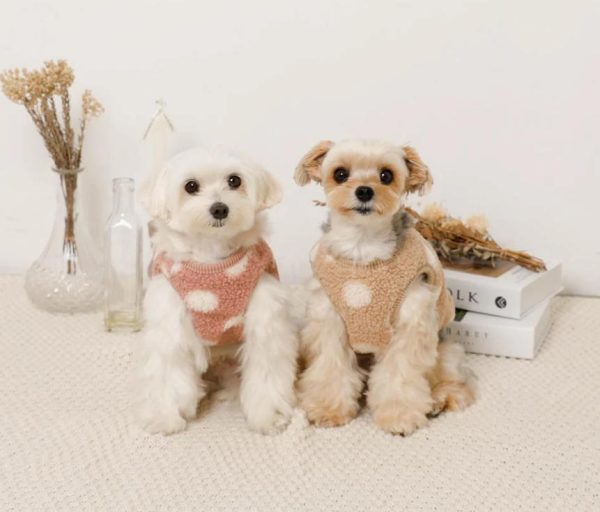Dotted print Reversible pet clothes