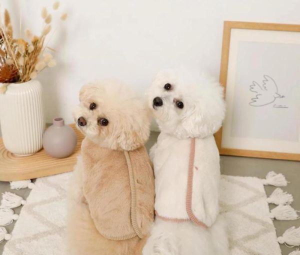 Dotted print Reversible pet clothes