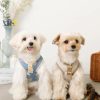 Knitted pet apparel with breathable fabric