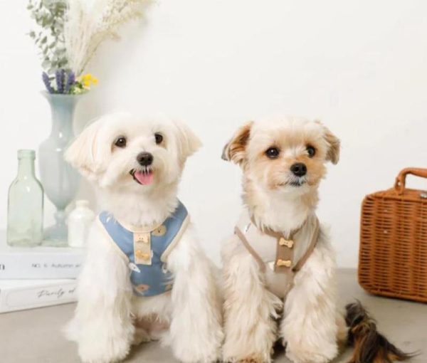 Knitted pet apparel with breathable fabric