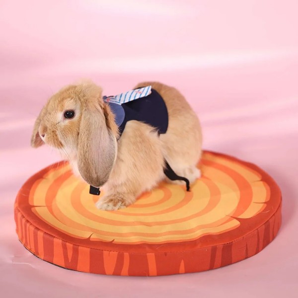 Rabbit House Bed Small Animals Bedding Bunny Cave Bed