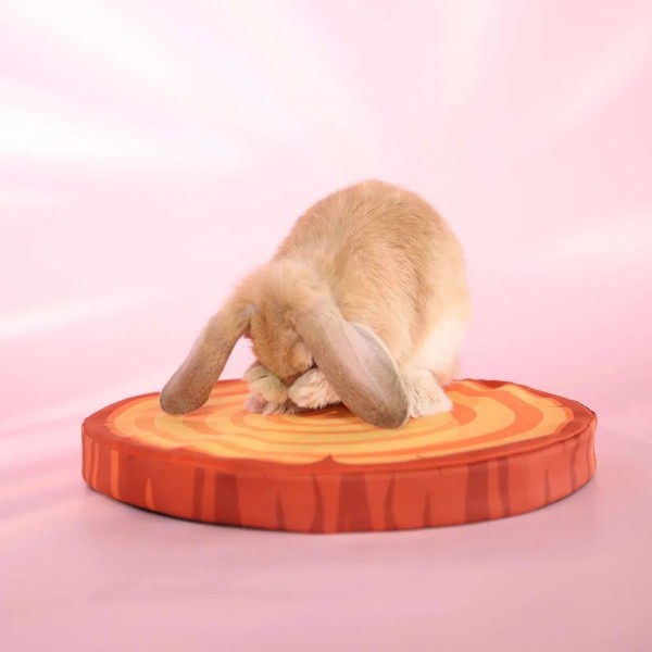 Rabbit House Bed Small Animals Bedding Bunny Cave Bed