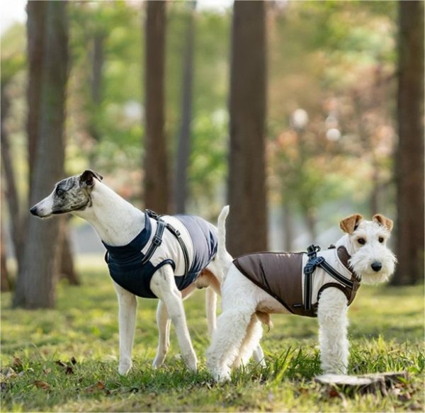 Warm pet cotton clothing-D Warm pet cotton clothing