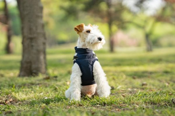 Warm pet cotton clothing-E Warm pet cotton clothing