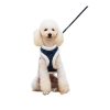 a vest-style dog harness with leash C A vest-style dog harness with leash