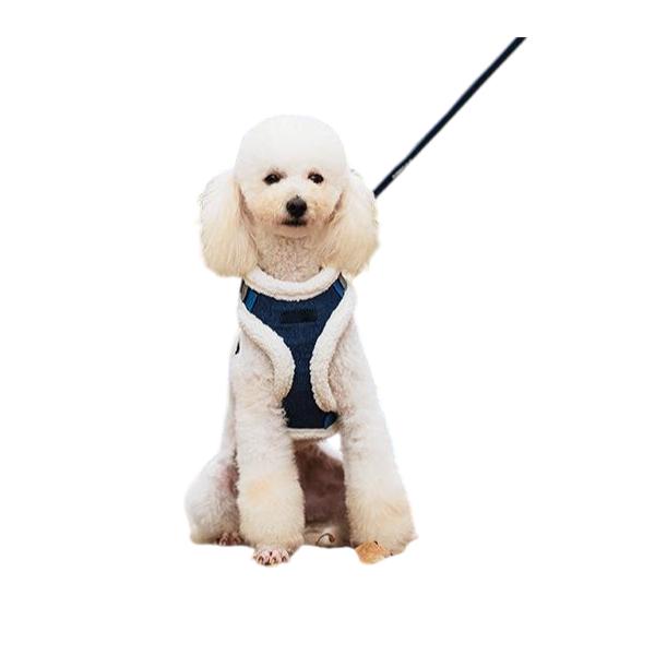 a vest-style dog harness with leash C A vest-style dog harness with leash