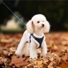a vest-style dog harness with leash D A vest-style dog harness with leash